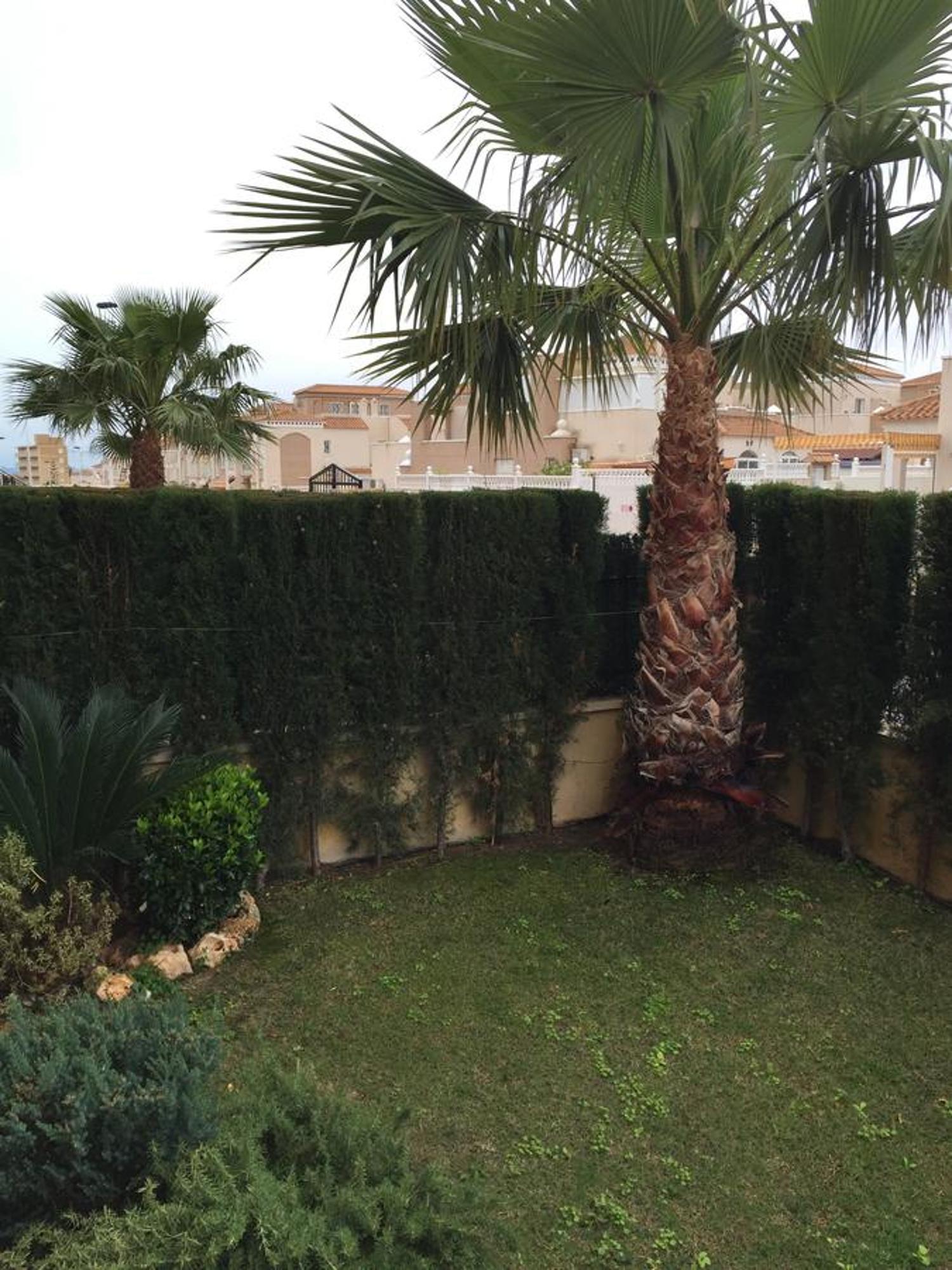 Apartment Altos De La Bahia X 托雷维耶哈 客房 照片