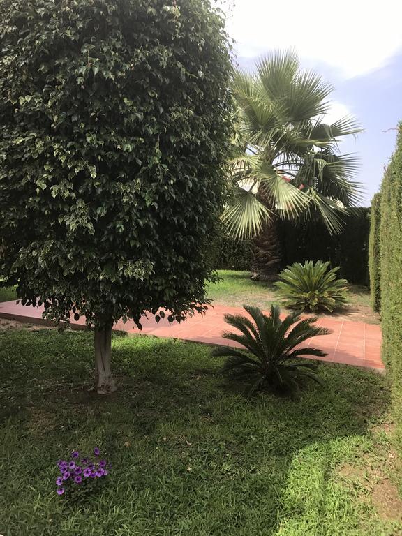 Apartment Altos De La Bahia X 托雷维耶哈 外观 照片